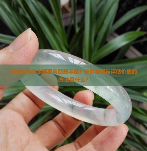 晴水葡萄肉翡翠手镯