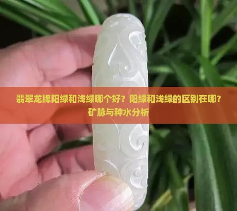 翡翠龙牌阳绿和浅绿哪个好