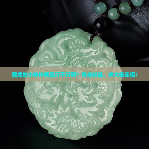 属虎的人带玉合适不