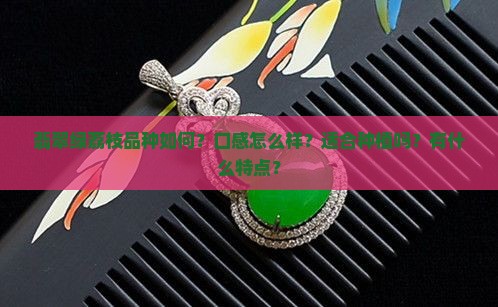 翡翠绿荔枝品种如何