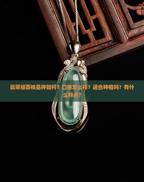 翡翠绿荔枝品种如何