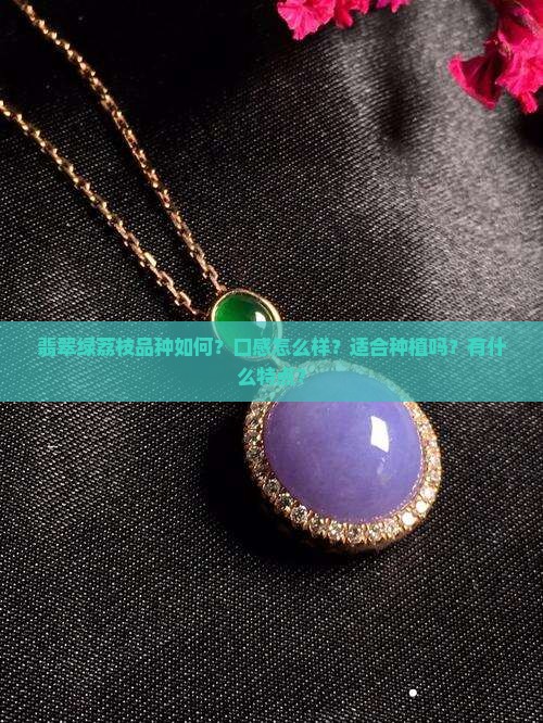 翡翠绿荔枝品种如何