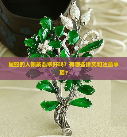 属蛇的带翡翠好吗