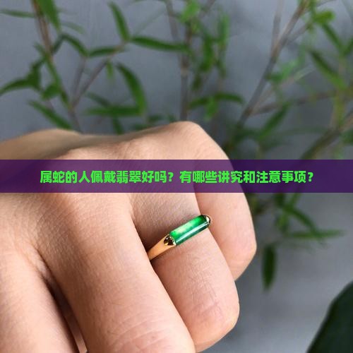 属蛇的带翡翠好吗
