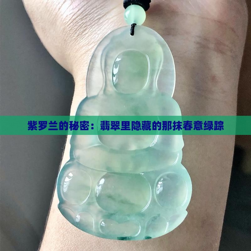 紫罗兰带绿色翡翠