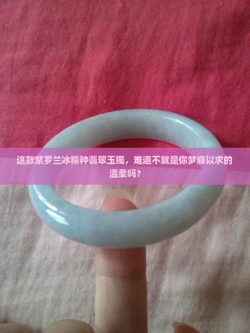 紫罗兰冰糯种翡翠玉镯