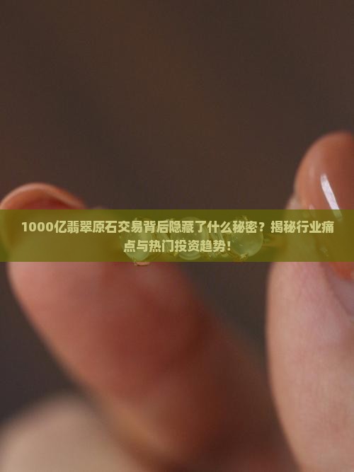 1000亿翡翠原石