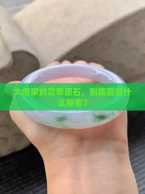 大熊翡翠原石