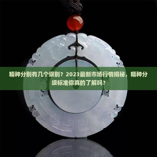 糯种分别有几个级别