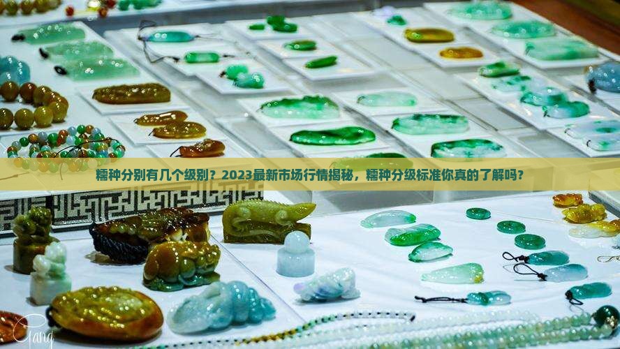 糯种分别有几个级别