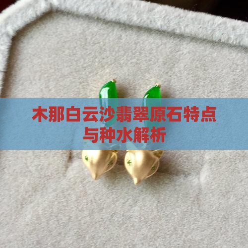 木那白云沙翡翠原石
