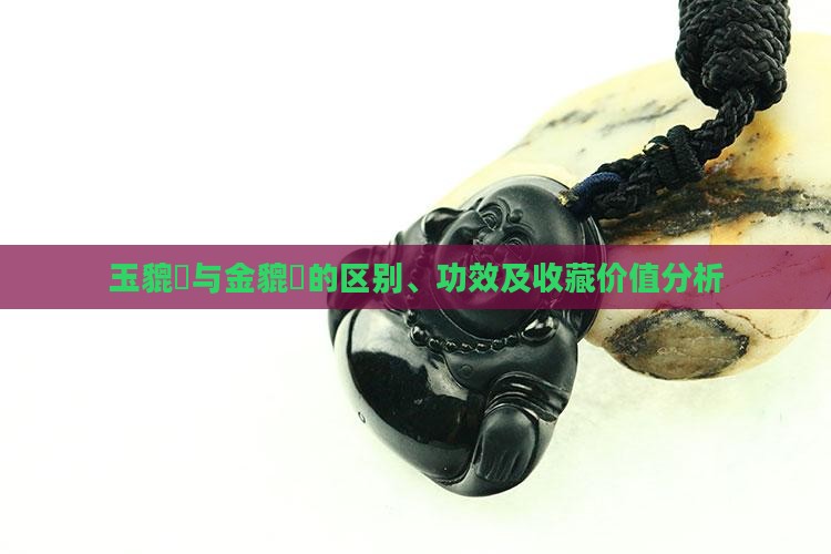 玉貔恘和金貔恘