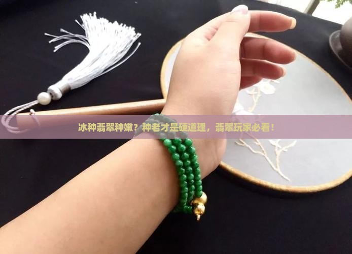 冰种翡翠种嫩