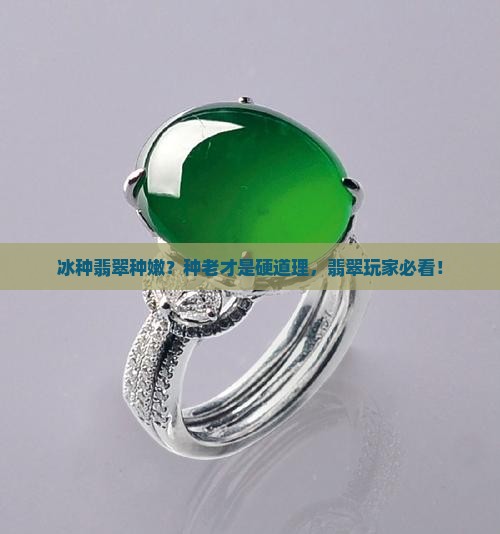 冰种翡翠种嫩