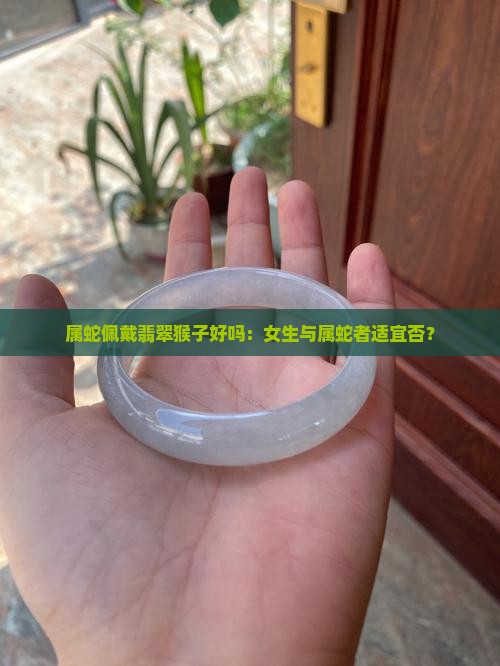 属蛇佩戴翡翠猴子好吗