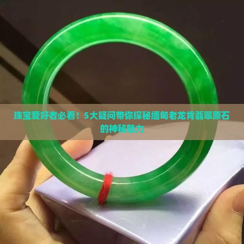 缅甸老龙肯翡翠原石
