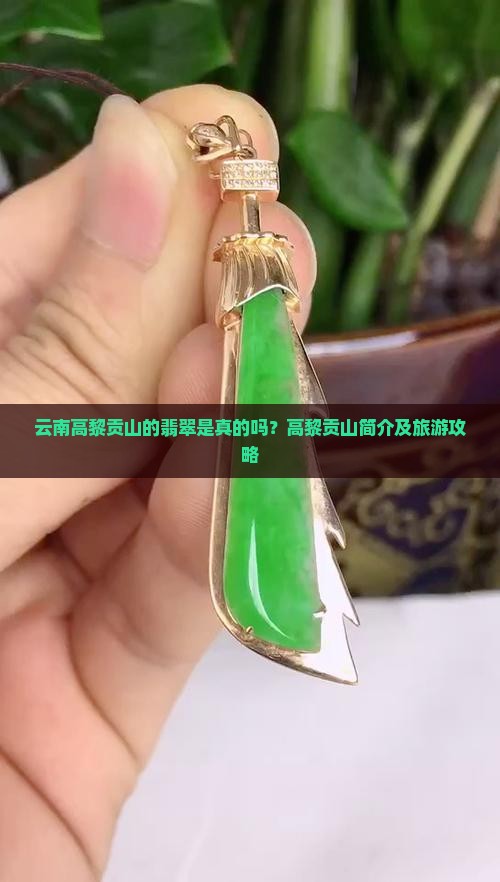 云南高黎贡山的翡翠是真的吗