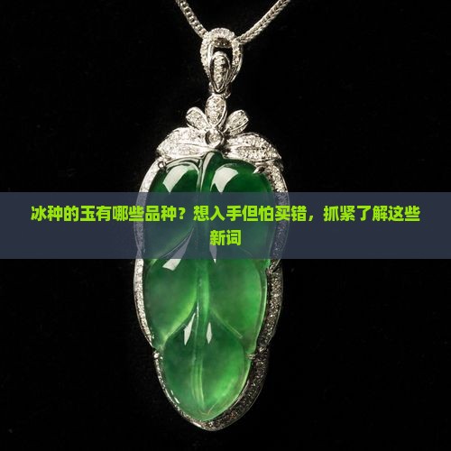 冰种的玉有哪些品种