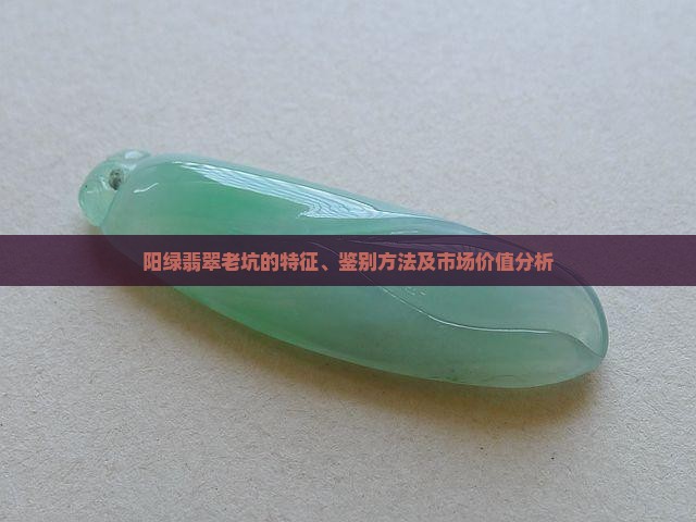 阳绿翡翠老坑