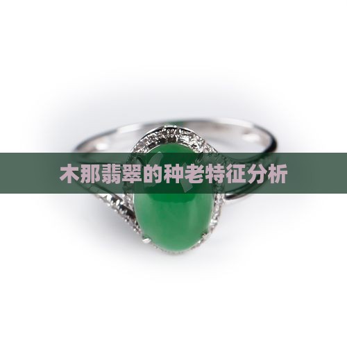 木那翡翠原石种老特征