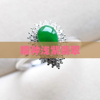糯种浅紫翡翠