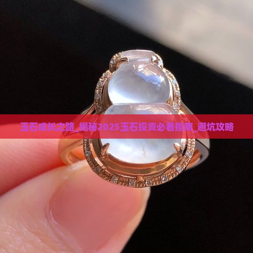 玉石成长之路