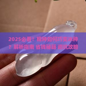糯种巧变冰种