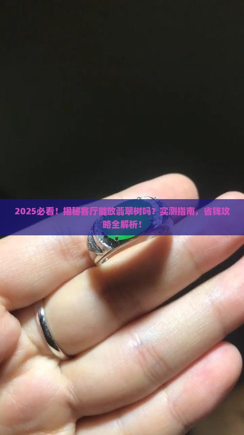 客庁能翡翠树吗