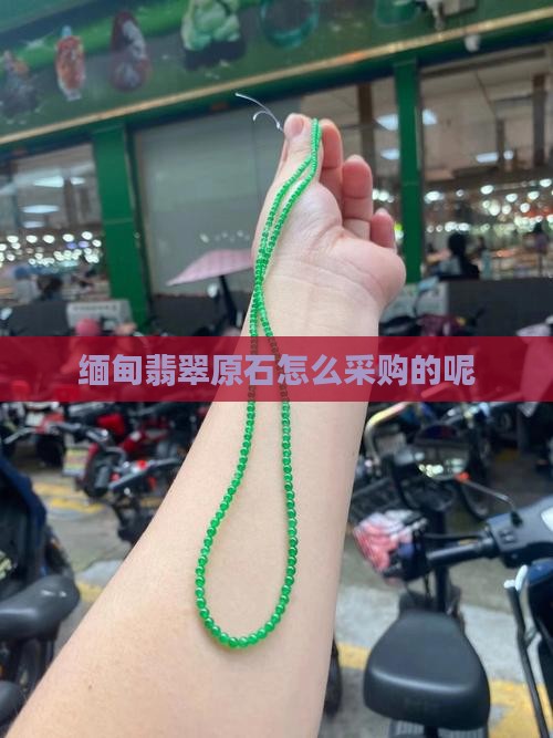 缅甸翡翠怎么采购的呢