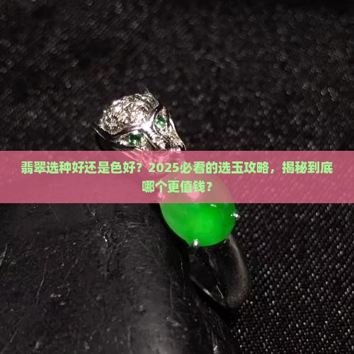 翡翠选种好还是色好