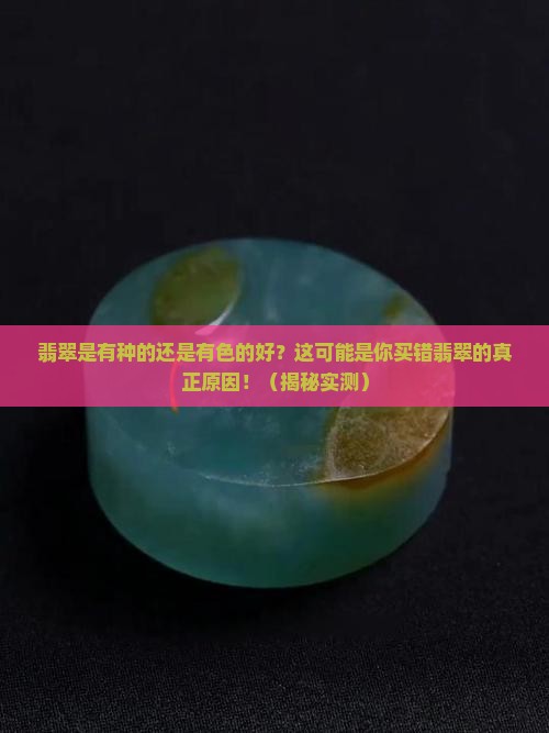 翡翠是有种的还是有色的好