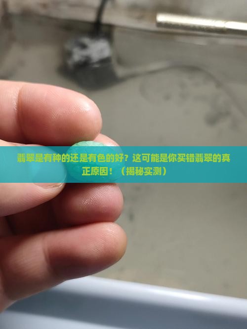 翡翠是有种的还是有色的好