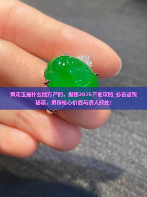 黄龙玉是什么地方产的