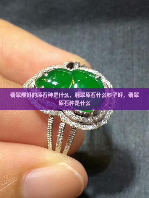 翡翠最好的原石种是什么
