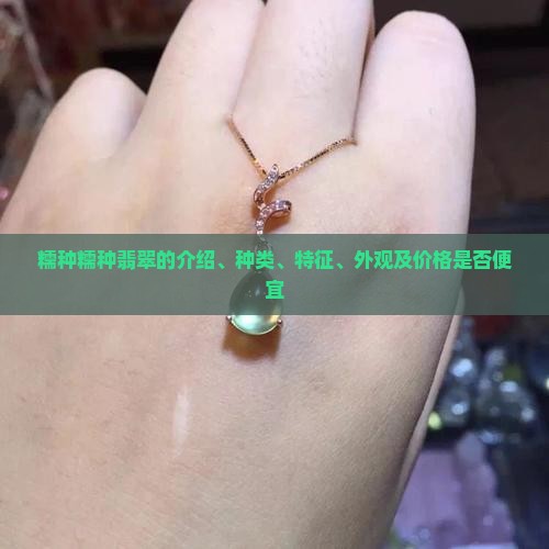 的糯种糯种翡翠