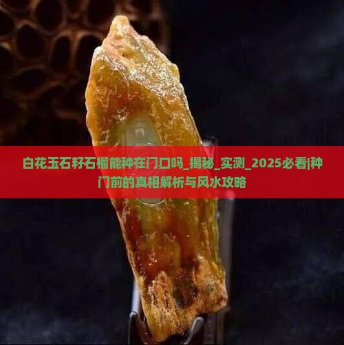 白花玉石籽石榴能种在门口吗