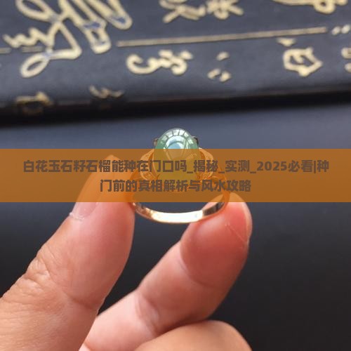 白花玉石籽石榴能种在门口吗