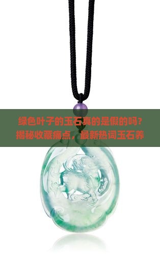 绿色叶子的玉石