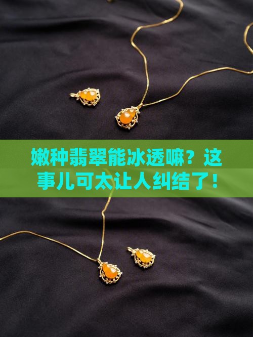 嫩种翡翠会冰透吗