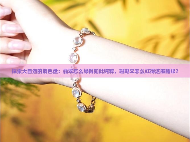 翡翠和珊瑚有红绿吗