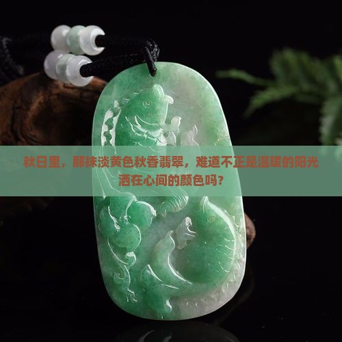 淡黄色的秋香翡翠怎么样
