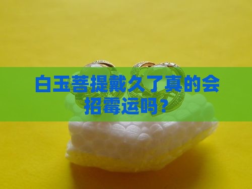白玉菩提会不会招霉运