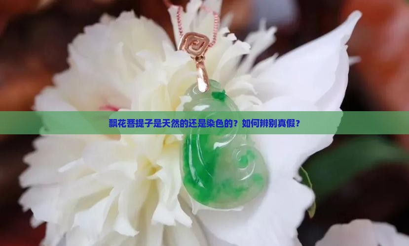 飘花菩提子是不是染色的
