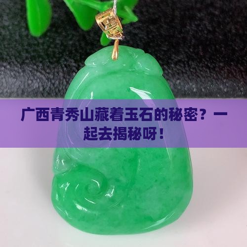 广西青秀山是不是卖玉石的