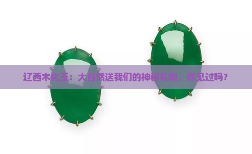 辽西木化玉 辽西木化玉