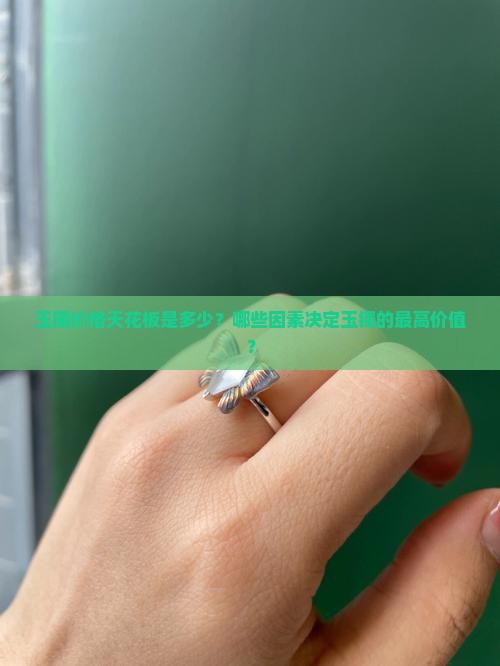 玉镯最贵的多少钱