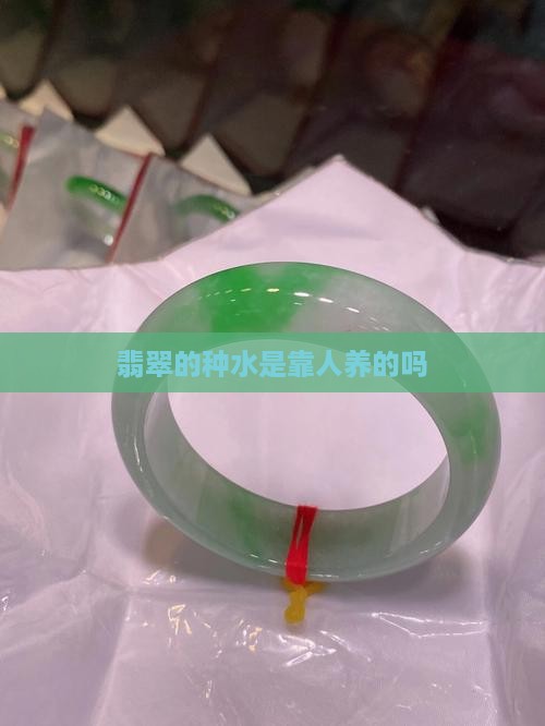 翡翠的种水是靠人养的吗