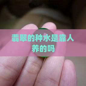 翡翠的种水是靠人养的吗