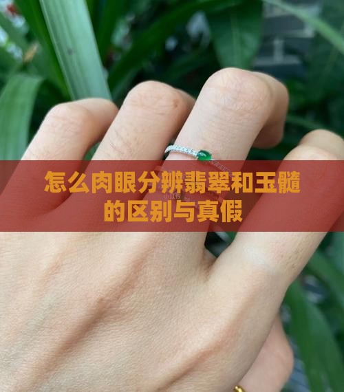 怎么肉眼分辨翡翠和玉髓