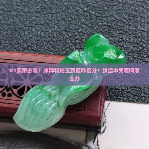 冰种和釉玉怎么区分